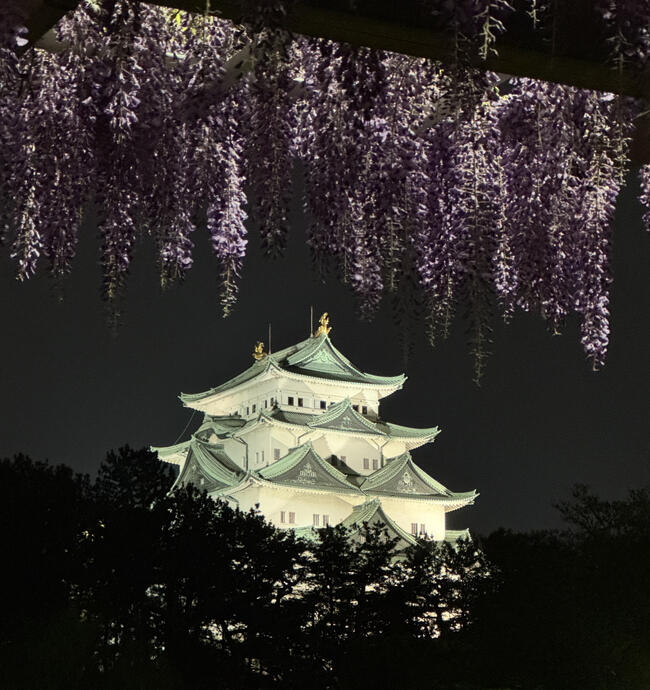 Nagoya Castle