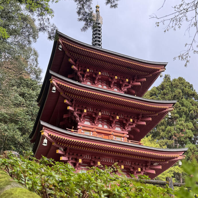 Shoryu-ji Temple
